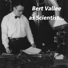 Bert Vallee as Scientist