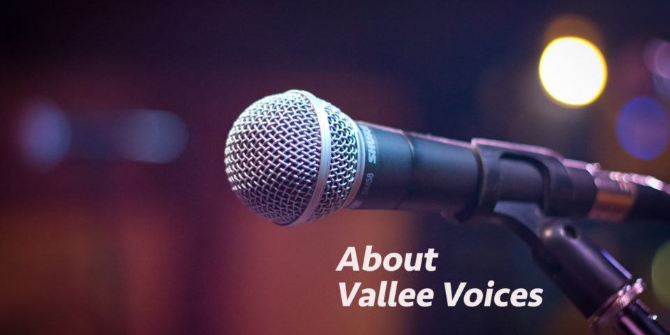 About Vallee Voices